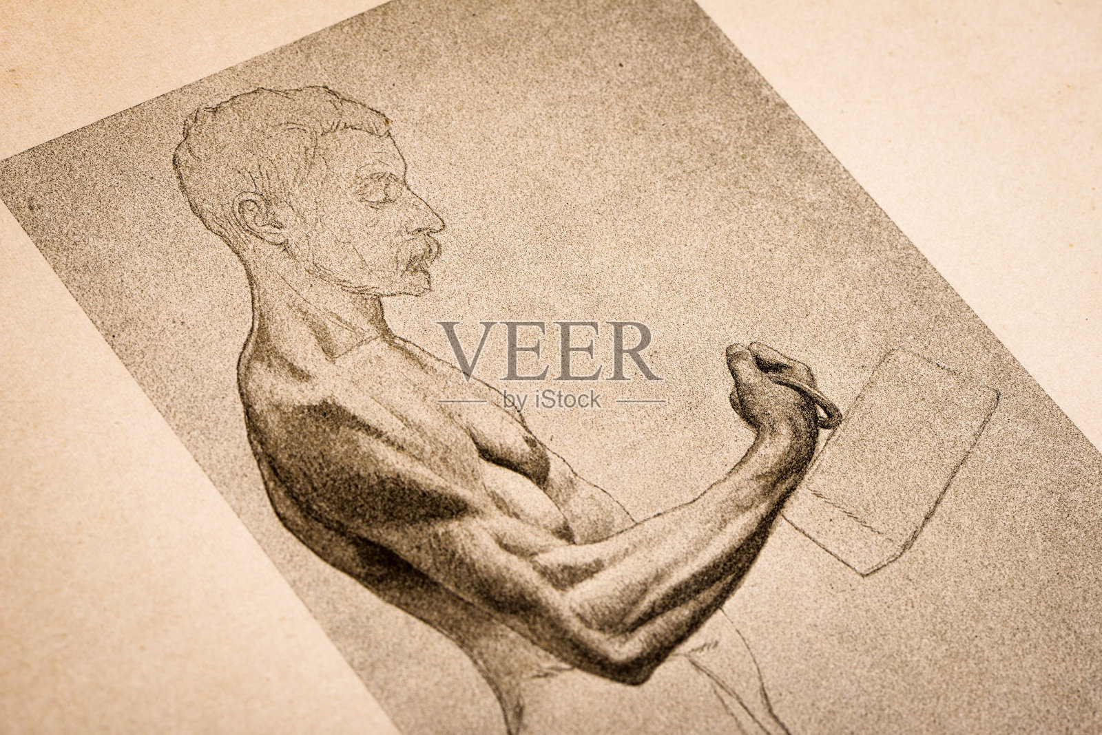 人体解剖插图从古董法国艺术书籍:手臂插画图片素材