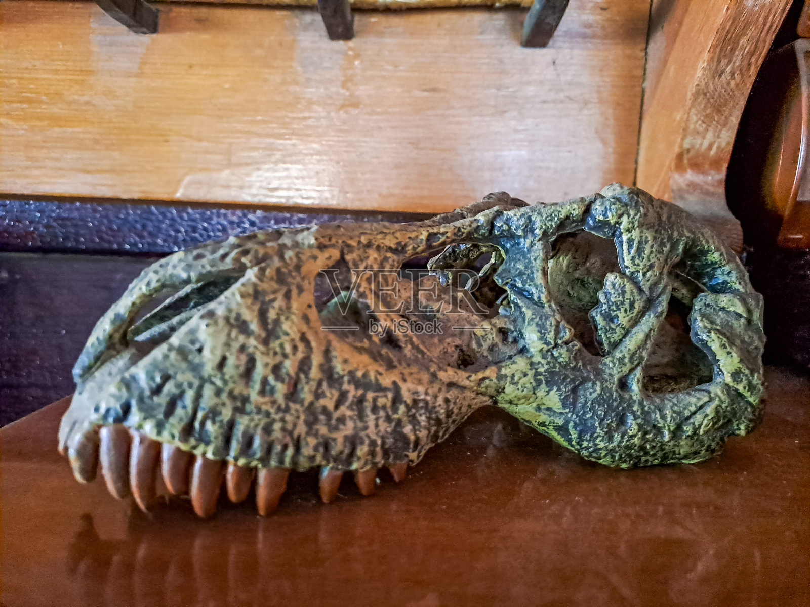 木桌上的恐龙头骨,万圣节的调味品照片摄影图片