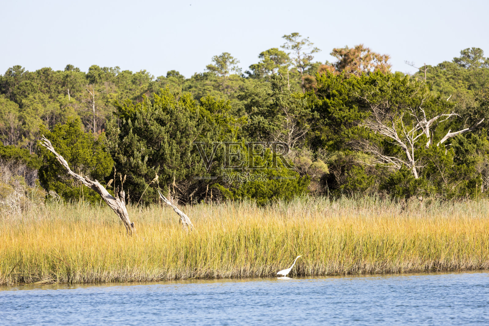 进口起重机照片摄影图片