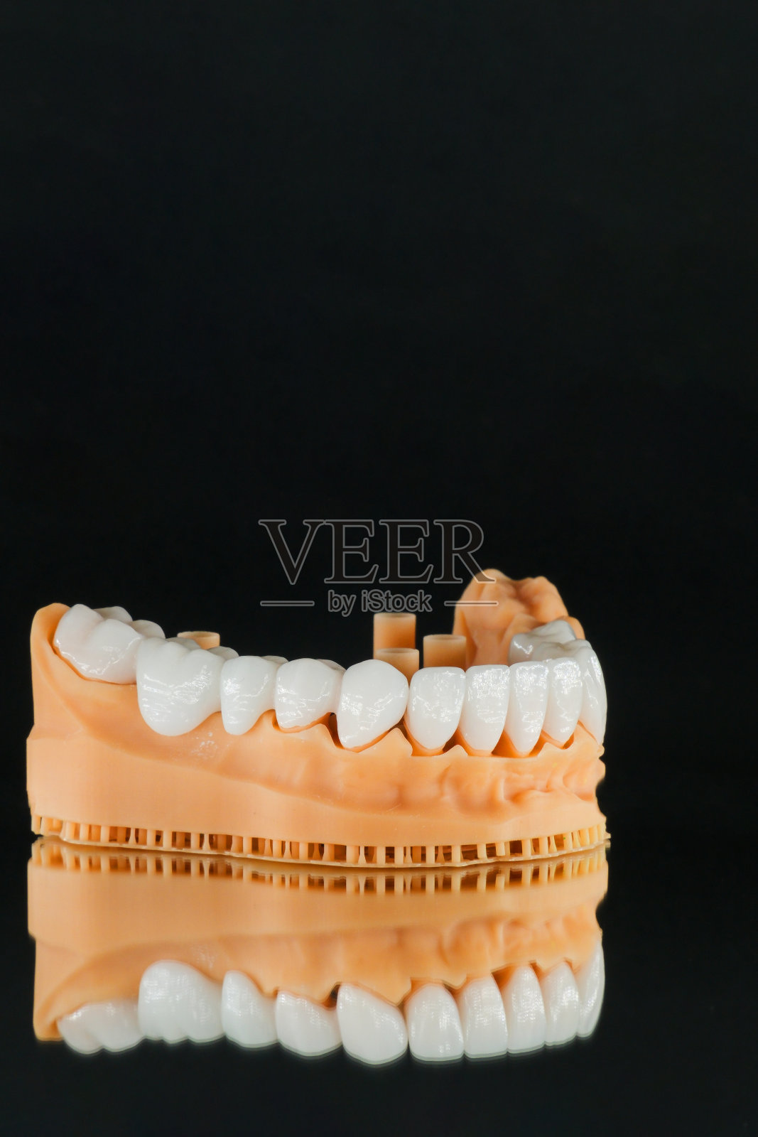 用锆涂层牙齿模型再次微笑!照片摄影图片