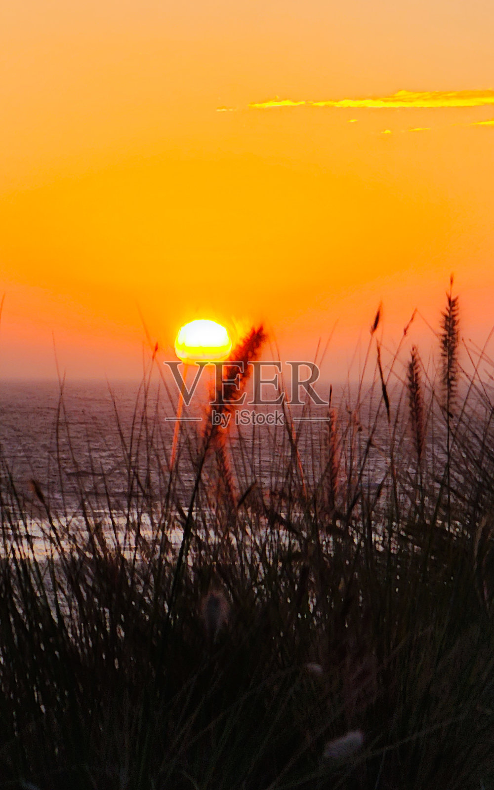 橙色海洋日落照片摄影图片