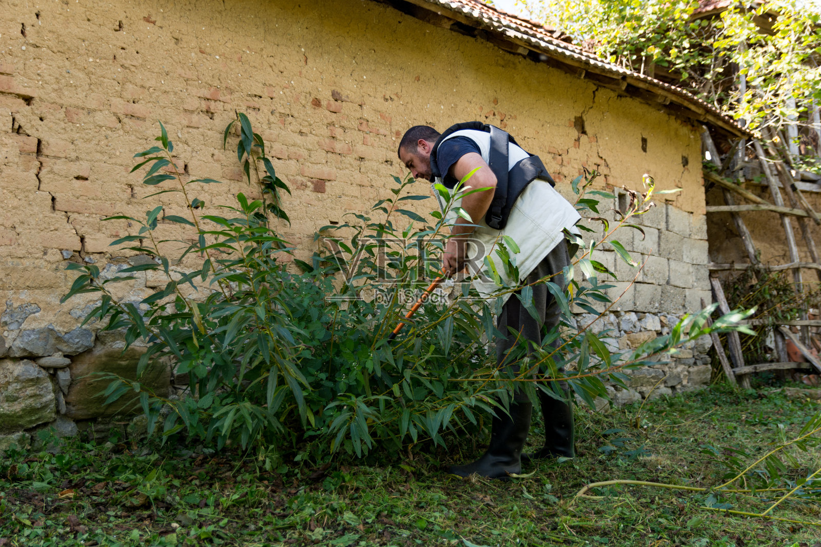 秋天的关怀:农夫照料农场照片摄影图片