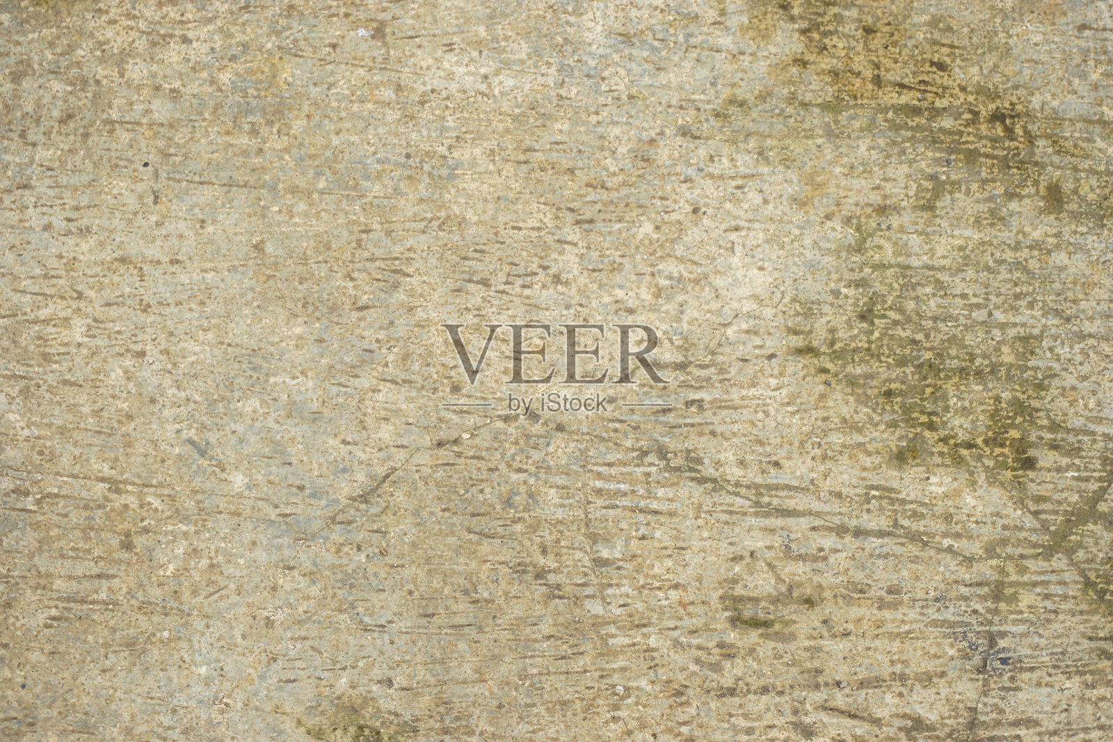 库存照片与空白空间在橙树,橙田背景。用于产品展示蒙太奇照片摄影图片