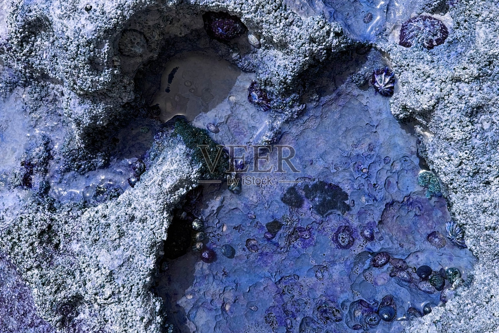 不寻常的纹理的石头海岸照片摄影图片