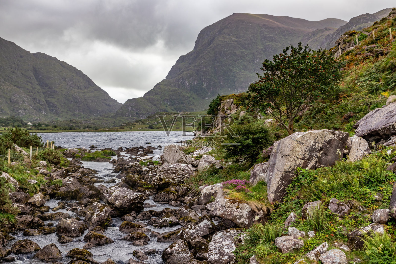 Dunloe峡谷的湖泊,岩石和植被照片摄影图片