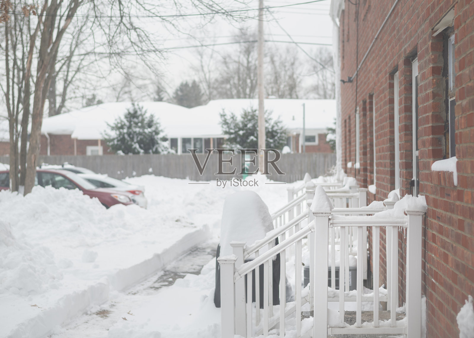 冬天照片摄影图片