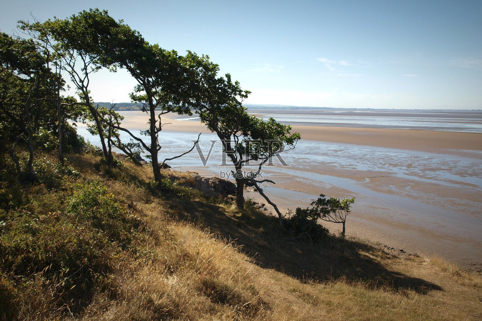 树木繁茂的海岸照片摄影图片