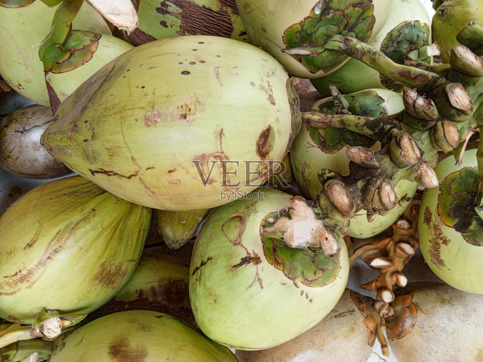 近距离观察新鲜的椰子果照片摄影图片