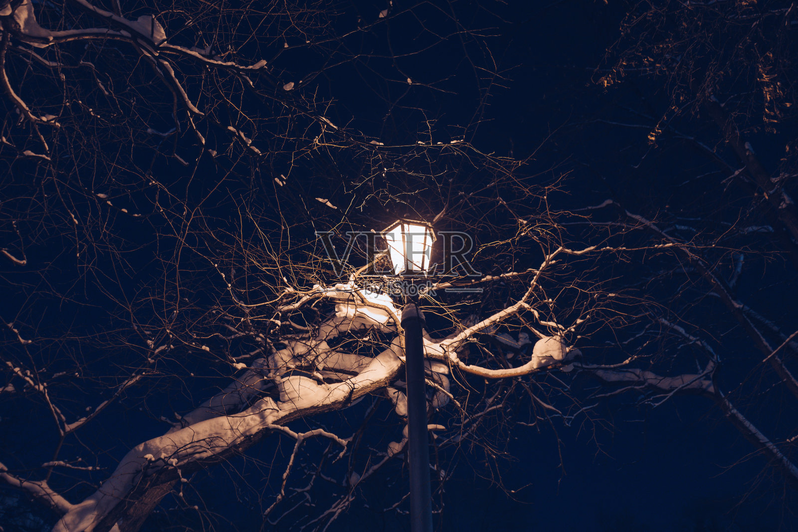 夜晚的路灯被雪覆盖照片摄影图片