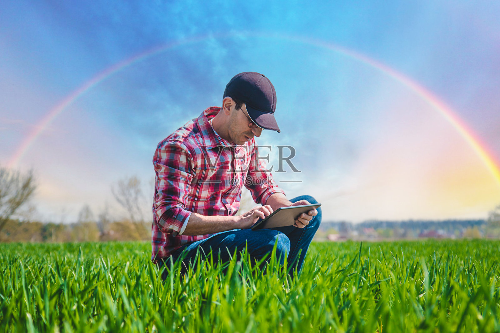 一位男农民检查田地里小麦的生长情况。有选择性的重点。照片摄影图片