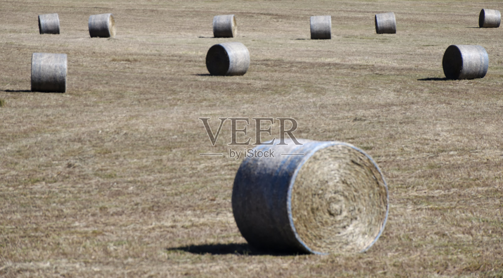 美国乔治亚州农村的一捆捆干草照片摄影图片