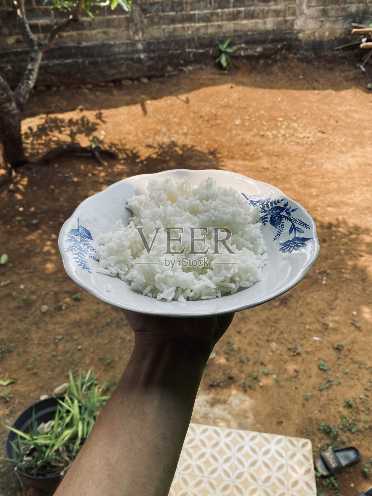 白玻璃盘上的白米饭照片摄影图片