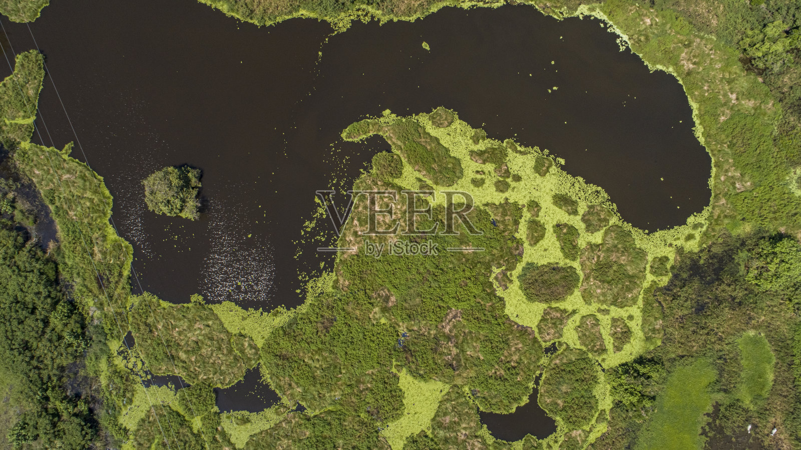 哥伦比亚马格达莱纳河湿地的垂直鸟瞰图照片摄影图片