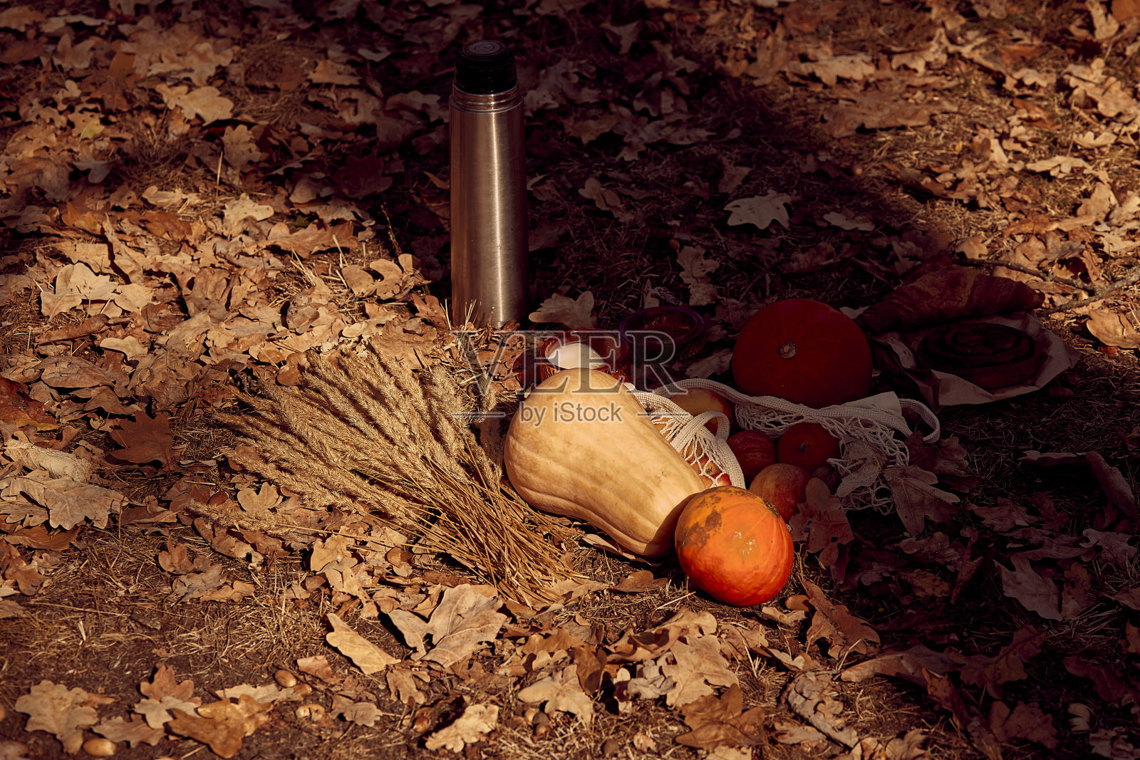 准备秋天在公园野餐用蜡烛,南瓜,保温瓶。舒适的秋天背景照片摄影图片