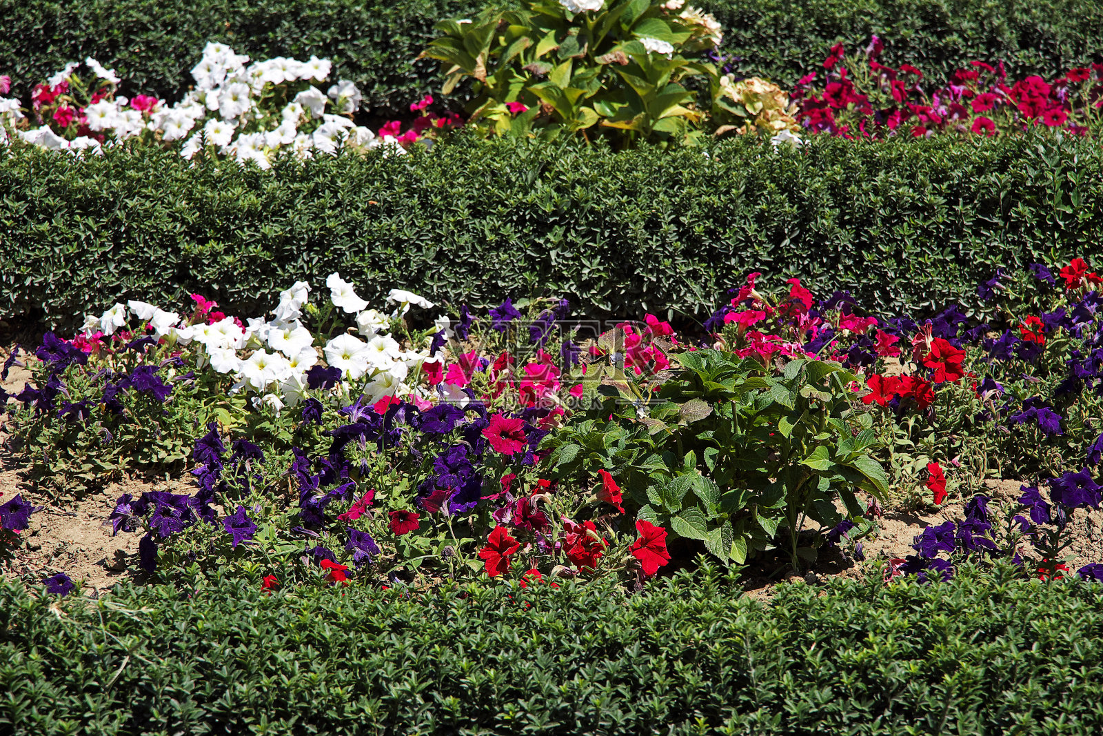 位于阿塞拜疆巴库市的公园照片摄影图片