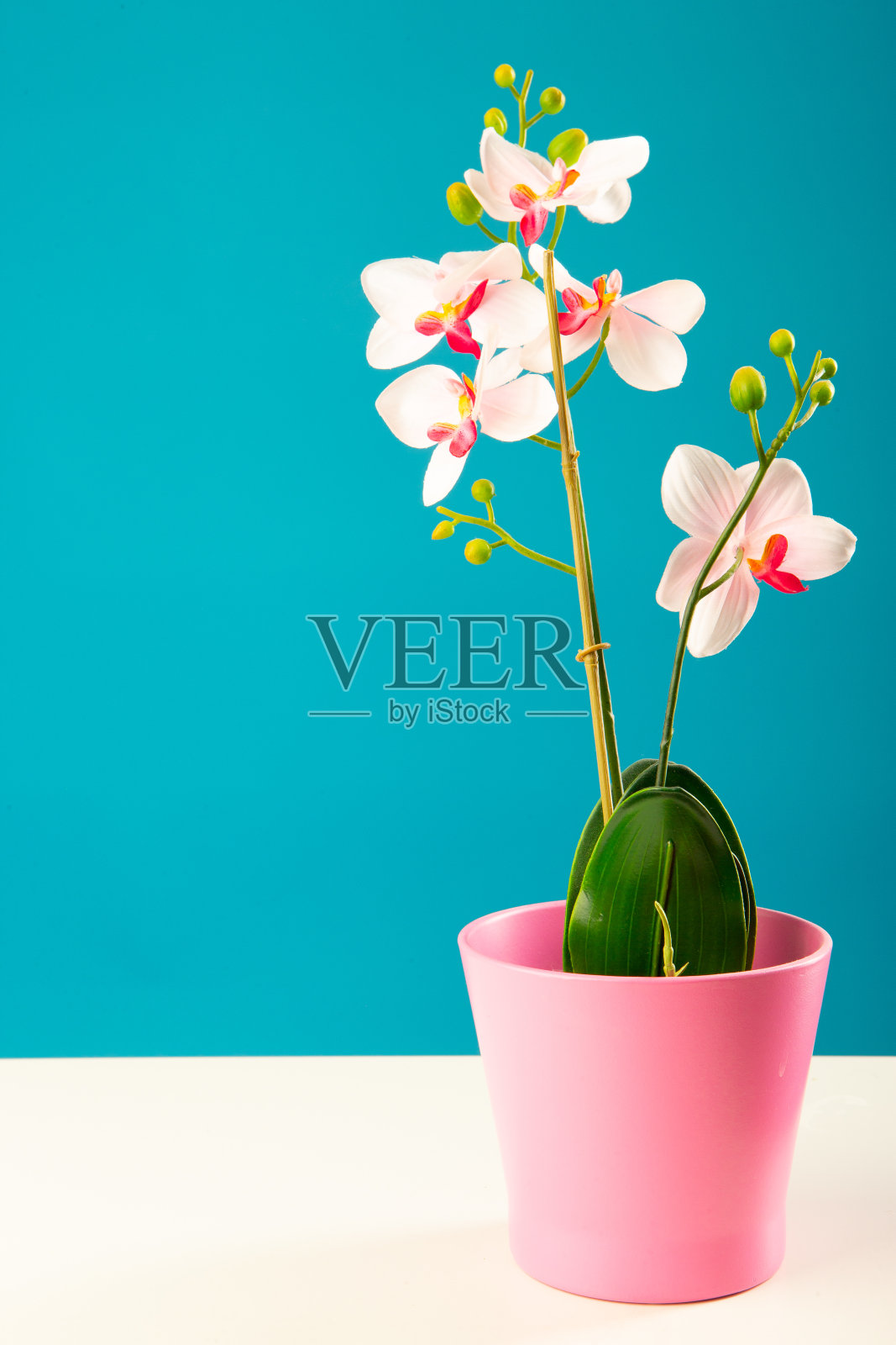 人造粉兰花照片摄影图片