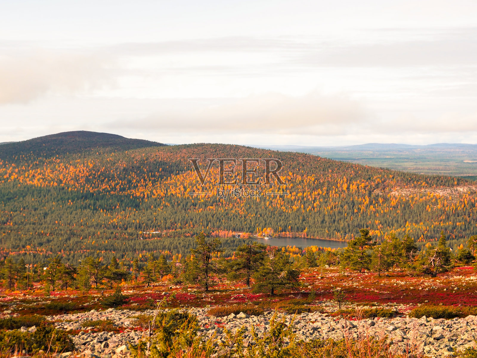 芬兰拉普兰的列维和Kätkätunturi丘陵、森林和滑雪坡的秋色照片摄影图片
