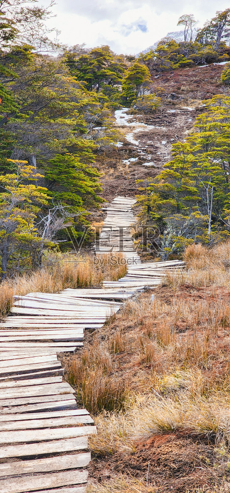 自然小径照片摄影图片