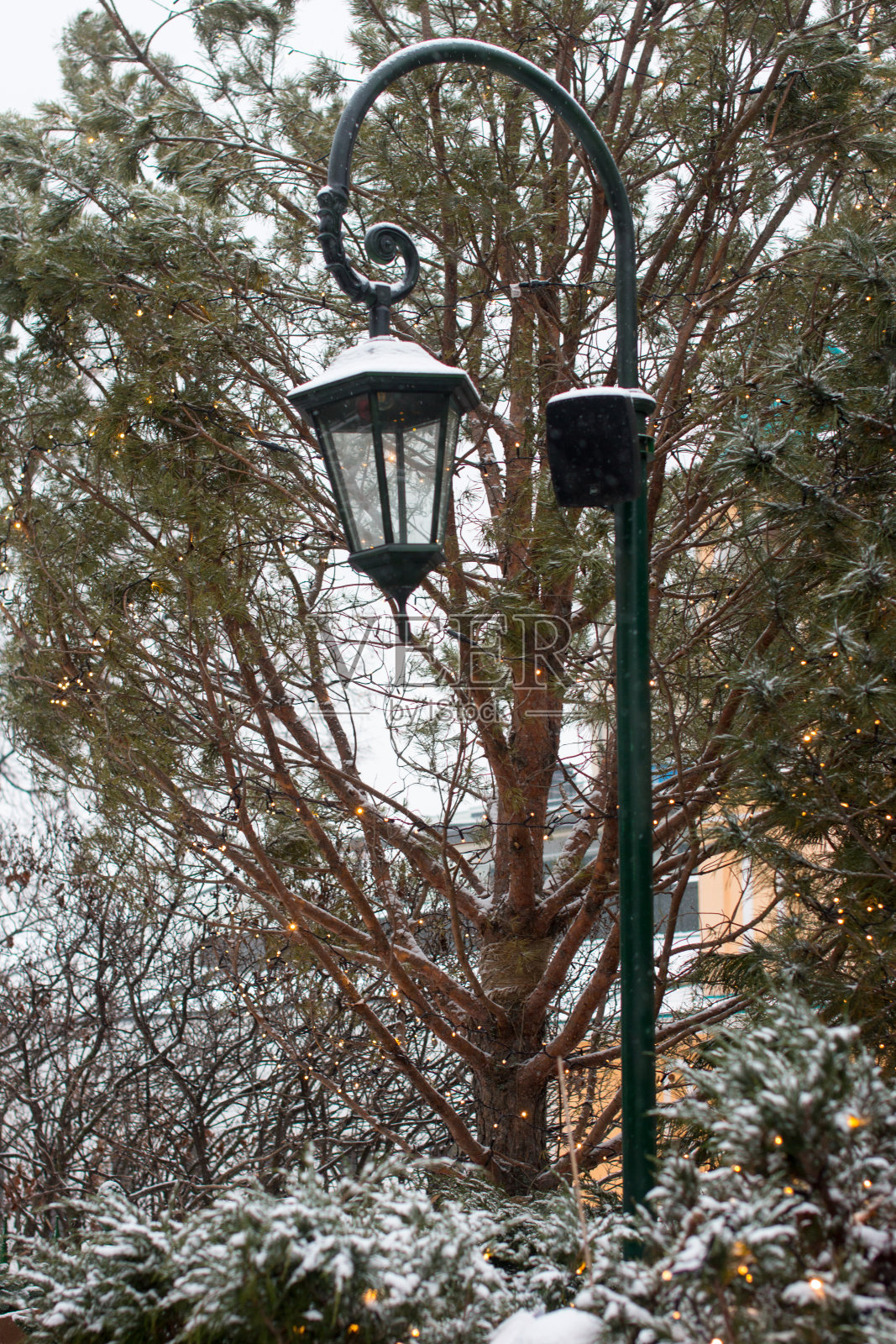 公园里街道上的圣诞装饰。喜庆的冬城照片摄影图片