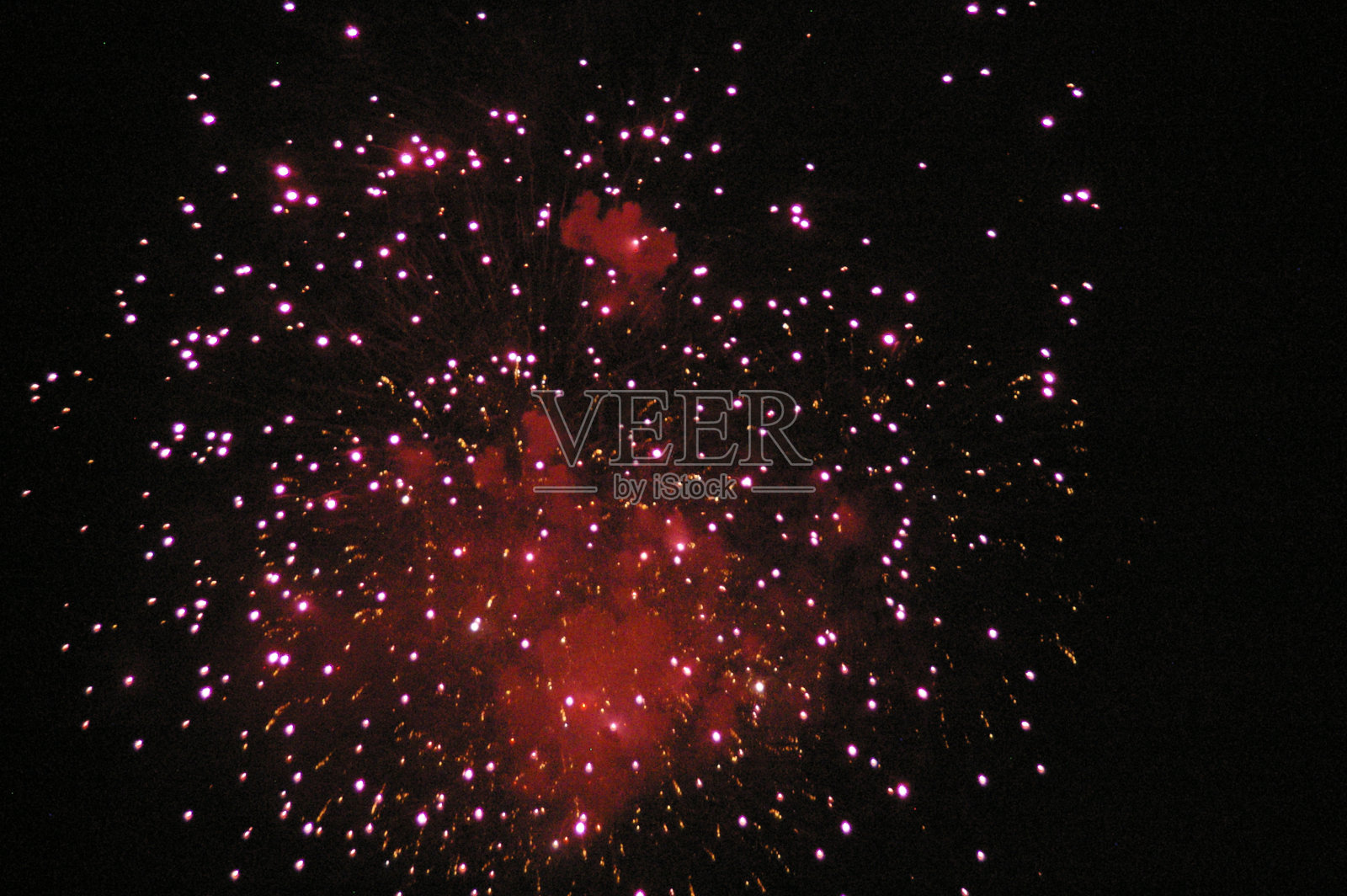 穿越花园2012照片摄影图片