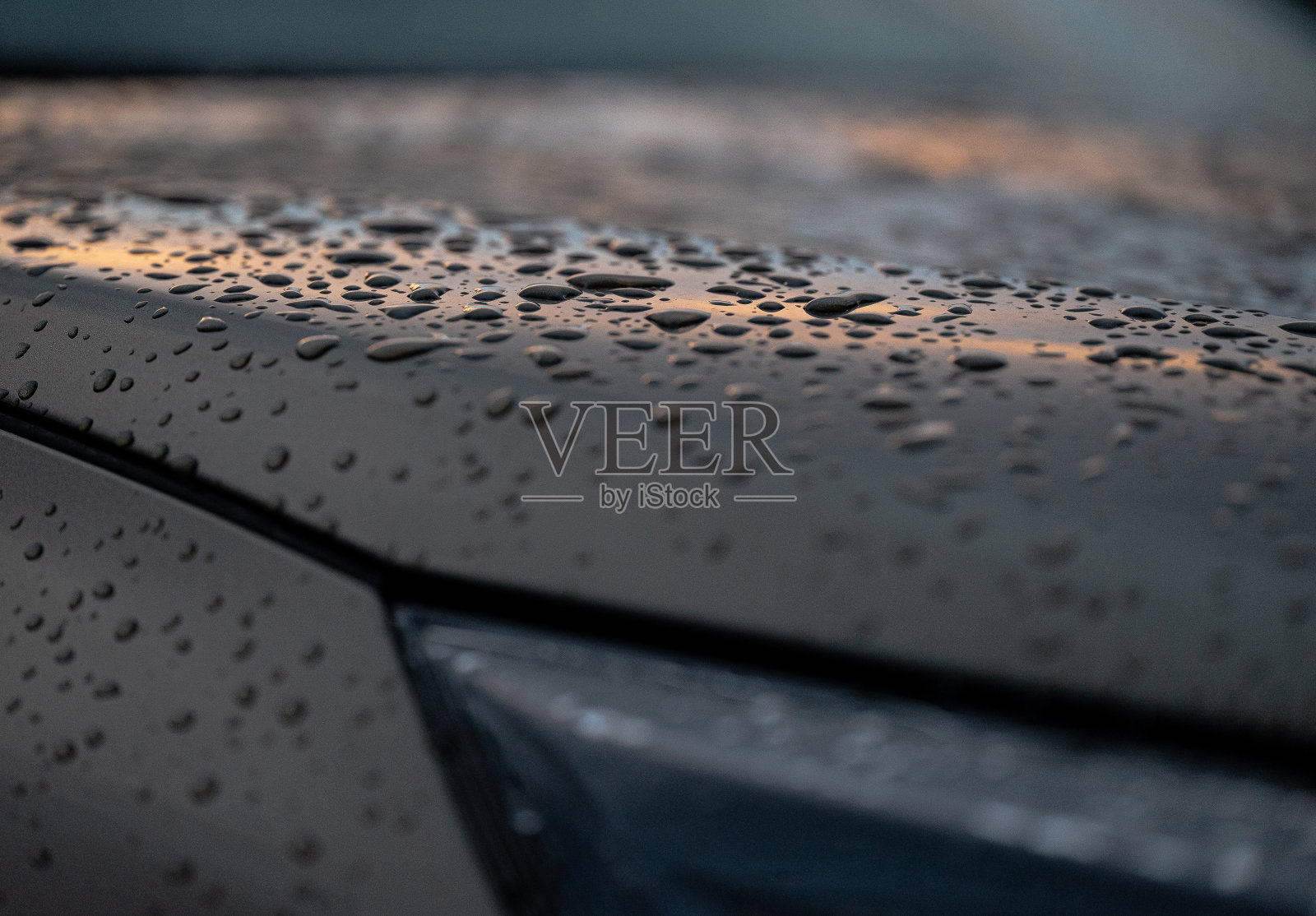 早晨的凝结照片摄影图片