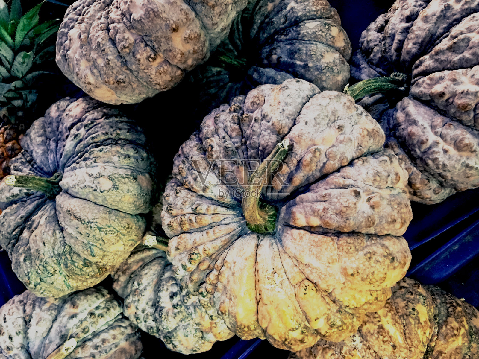 木制背景上各式各样的泰国南瓜。秋天的收获照片摄影图片