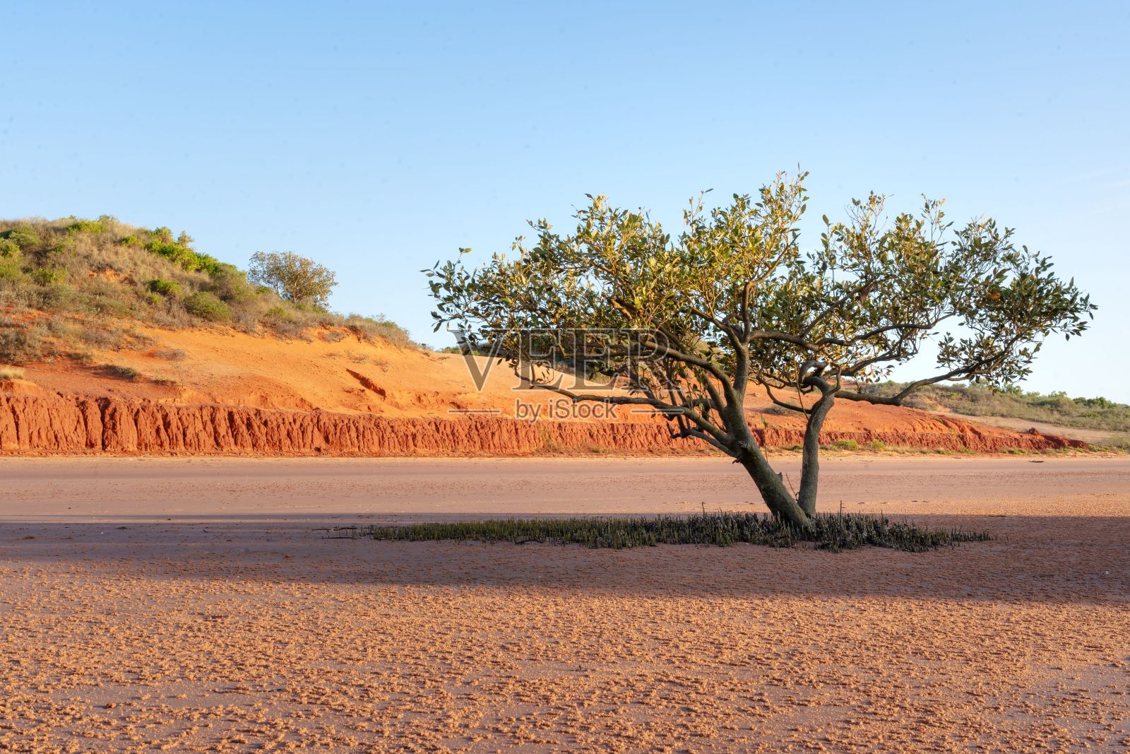 澳大利亚布鲁姆的辛普森海滩风景如画照片摄影图片