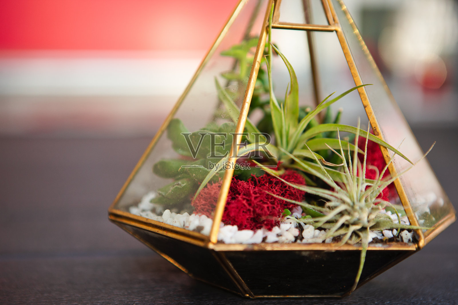 DIY玻璃容器照片摄影图片