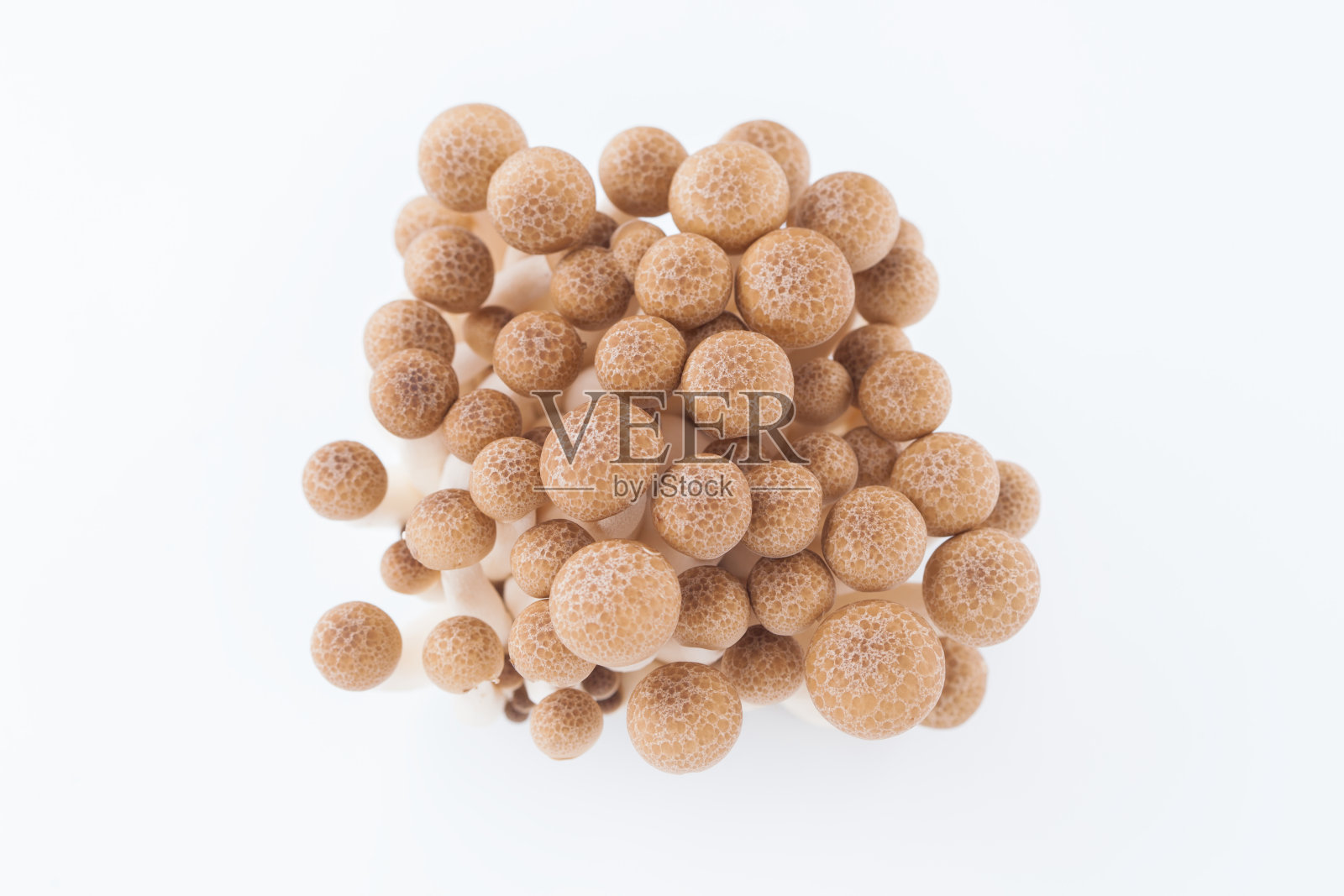 Shimeji蘑菇照片摄影图片