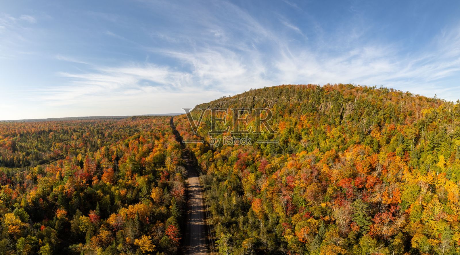 鸟瞰美国密歇根州蓝天下葱郁的绿色景观和成排的树木照片摄影图片
