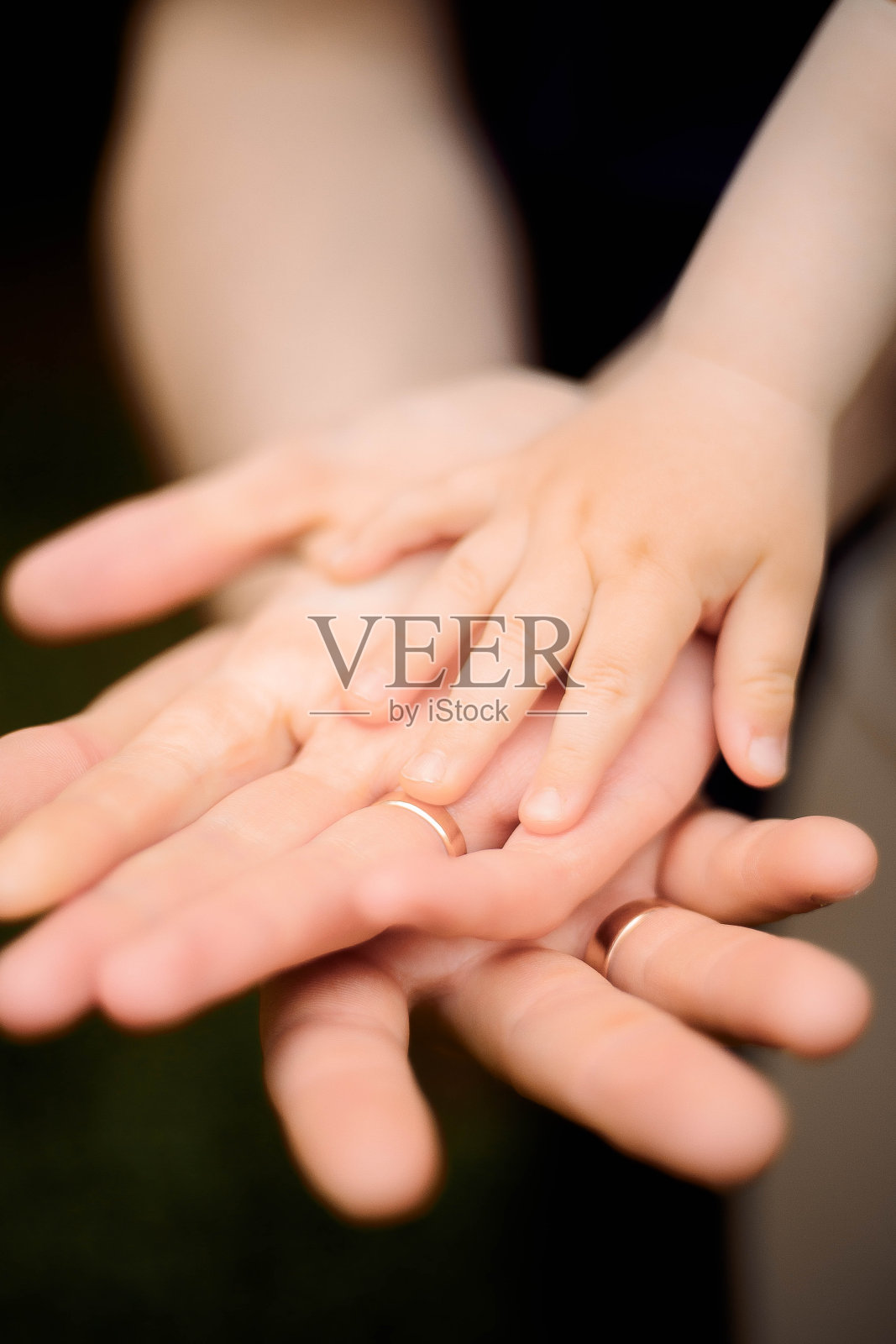 家庭。家族之手。手牵手。家庭安全。黑色背景上一家人的手。孩子的手。儿童和成人的手。照片摄影图片