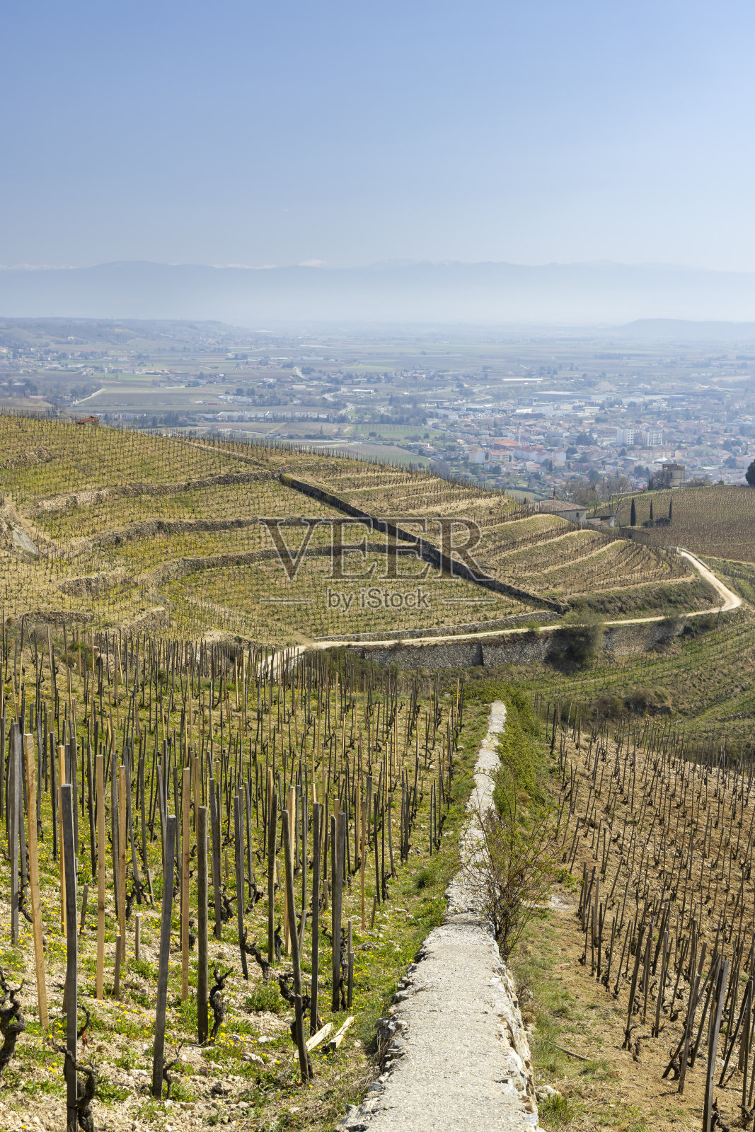 法国罗讷-阿尔卑斯山脉的艾尔米塔什岛,顶级葡萄园和圣克里斯托弗教堂照片摄影图片