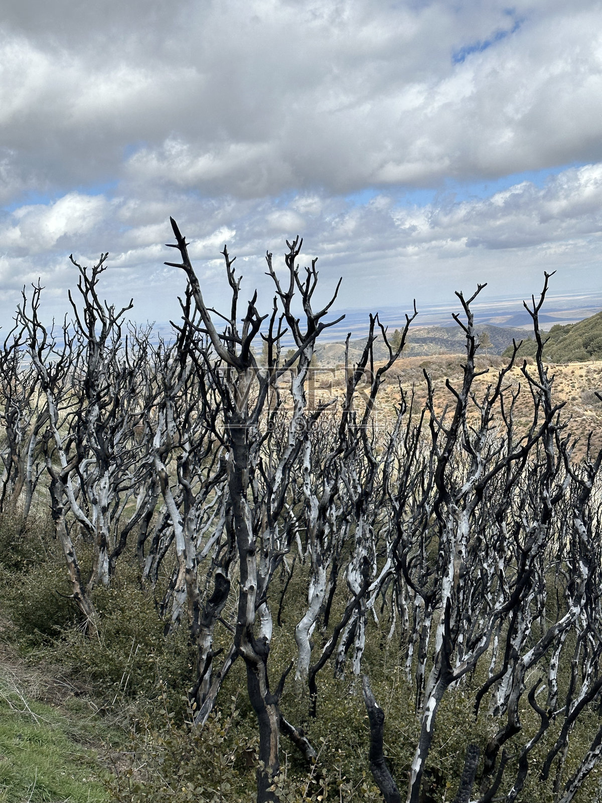 社会燃烧景观照片摄影图片