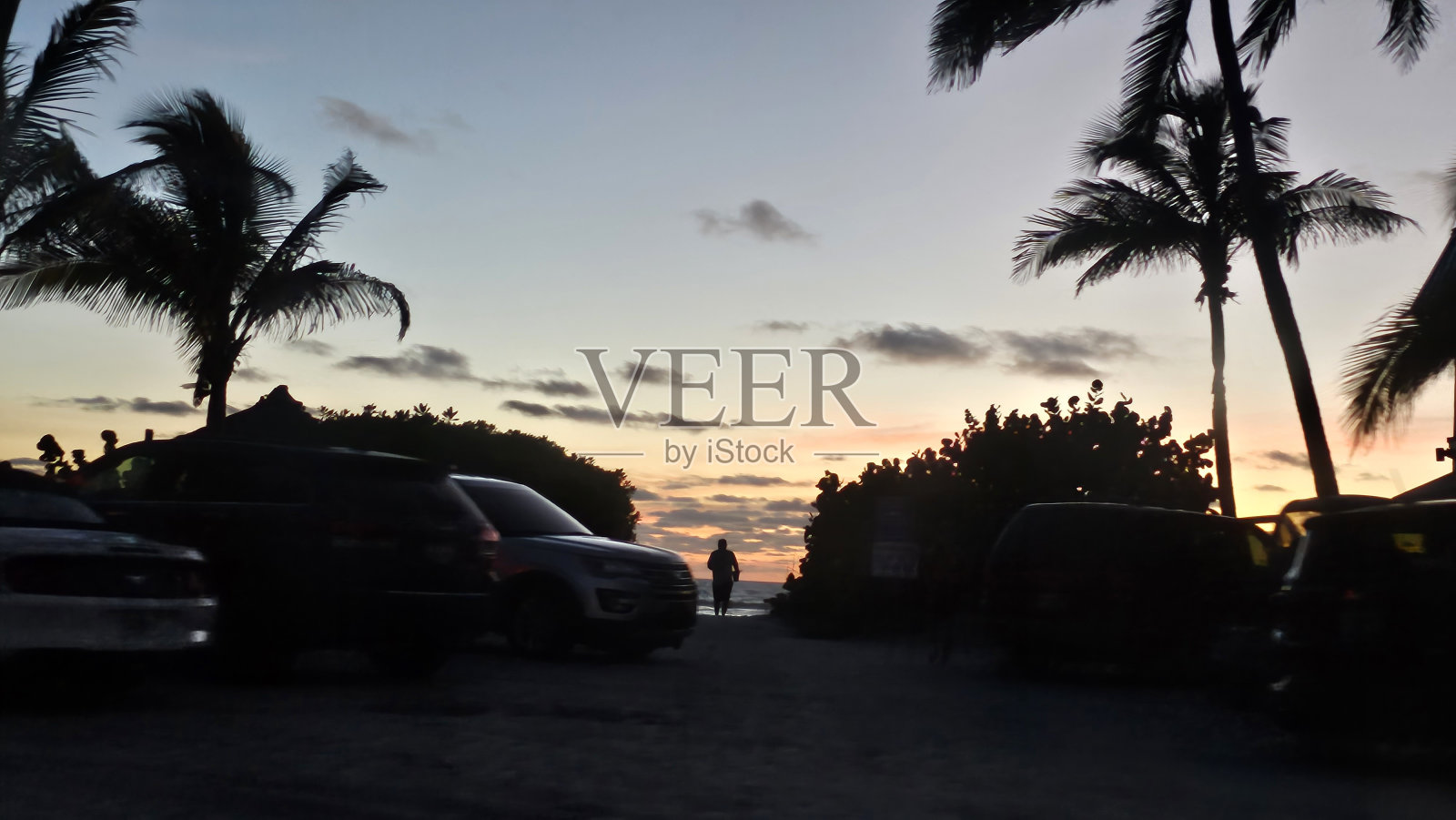 在夕阳中照片摄影图片