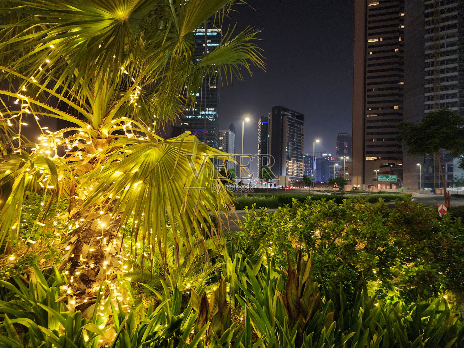 棕榈树和城市之光照片摄影图片
