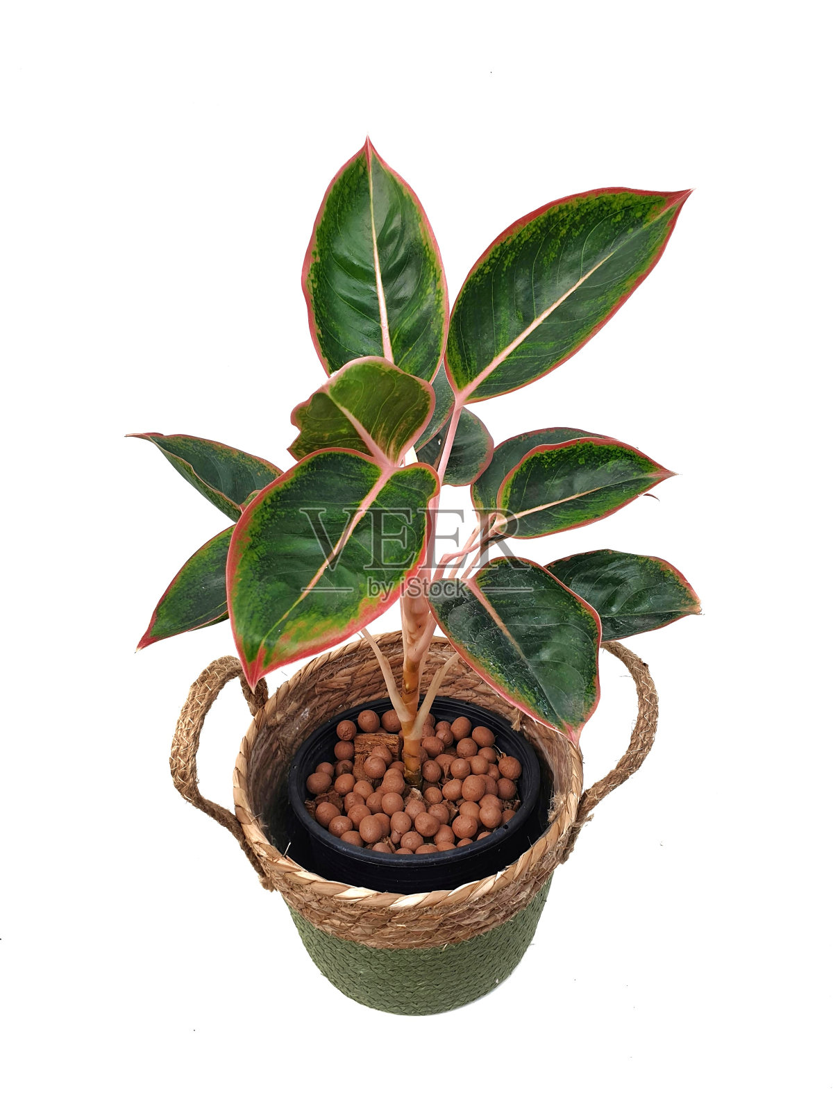 用天然材料制成的盆栽,在白色背景上与复制空间隔离。照片摄影图片