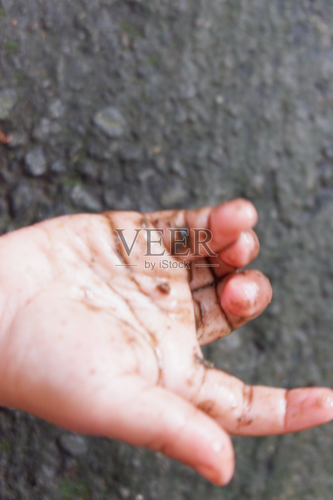 雨中落叶的背景照片摄影图片