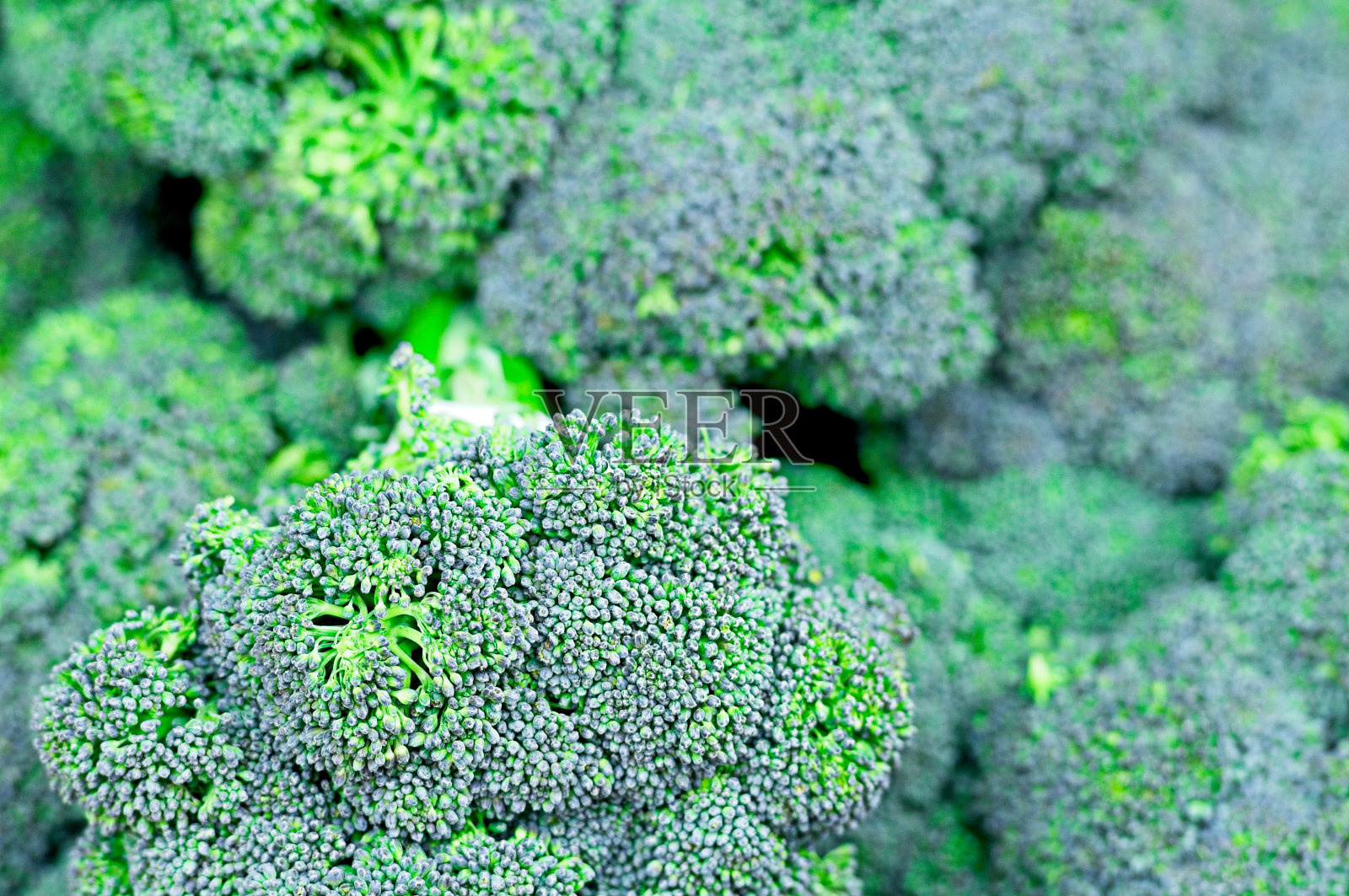 在农贸市场展出的西兰花照片摄影图片