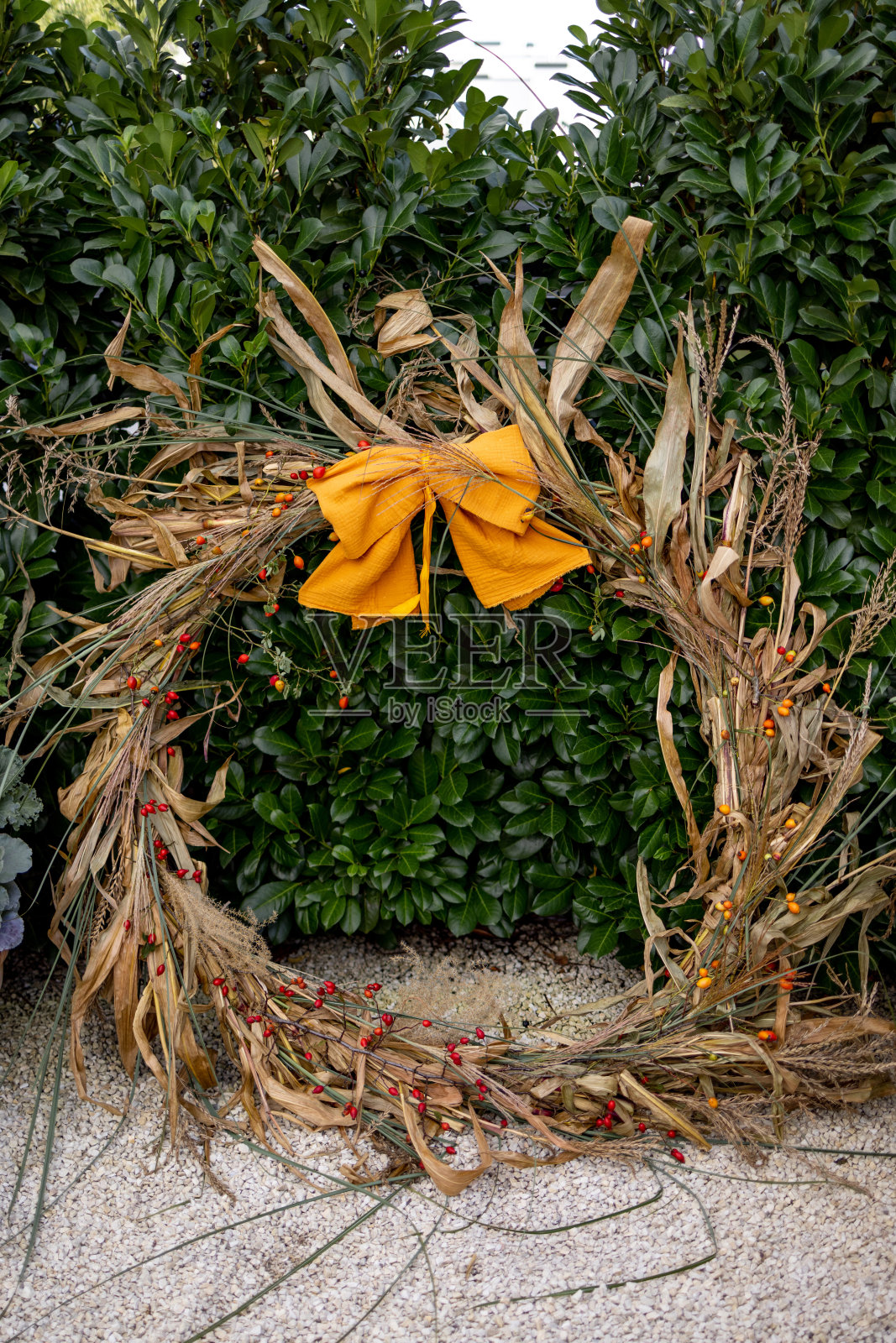 用玉米顶做成的漂亮花环照片摄影图片