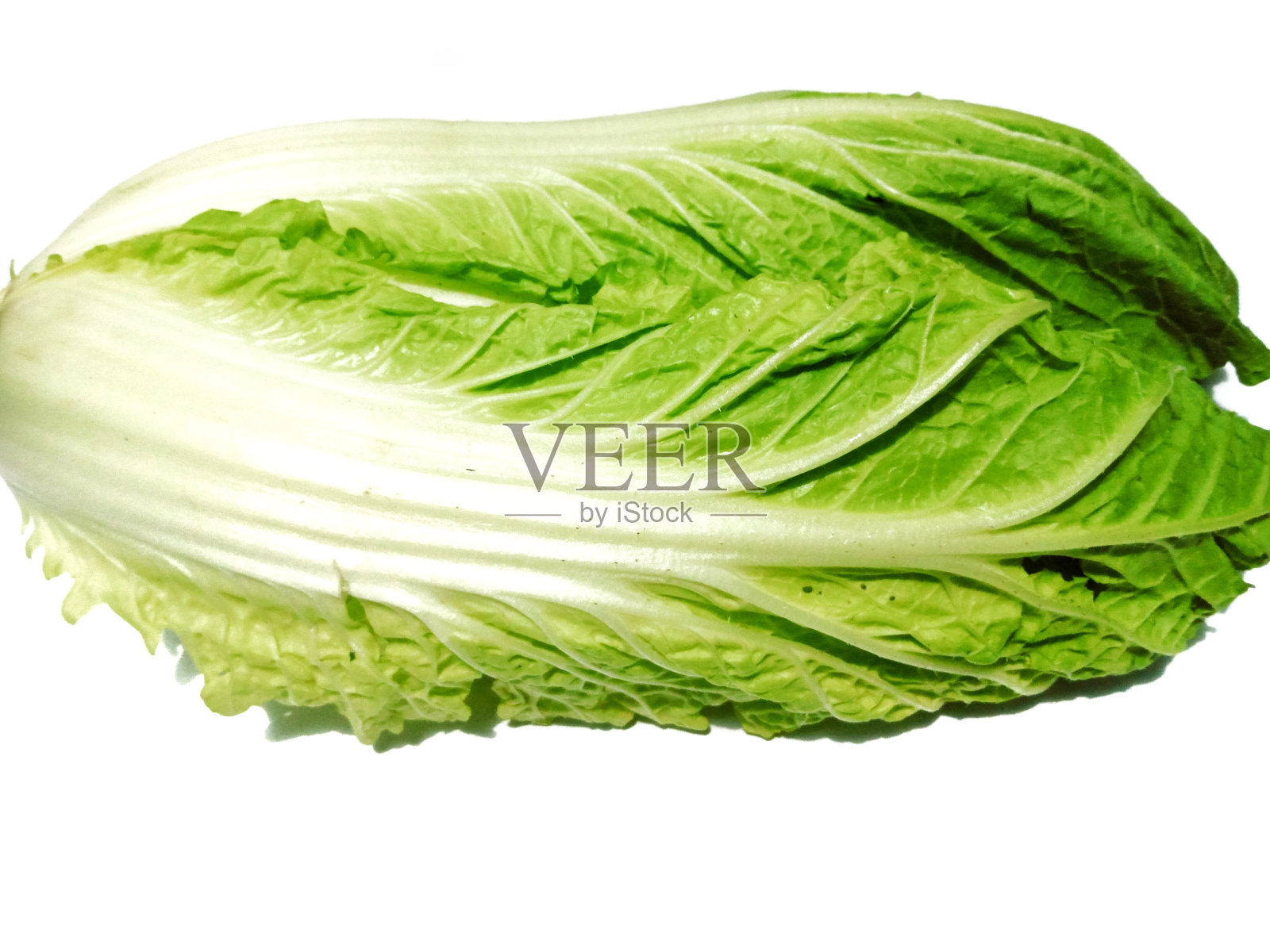 白芥菜照片摄影图片