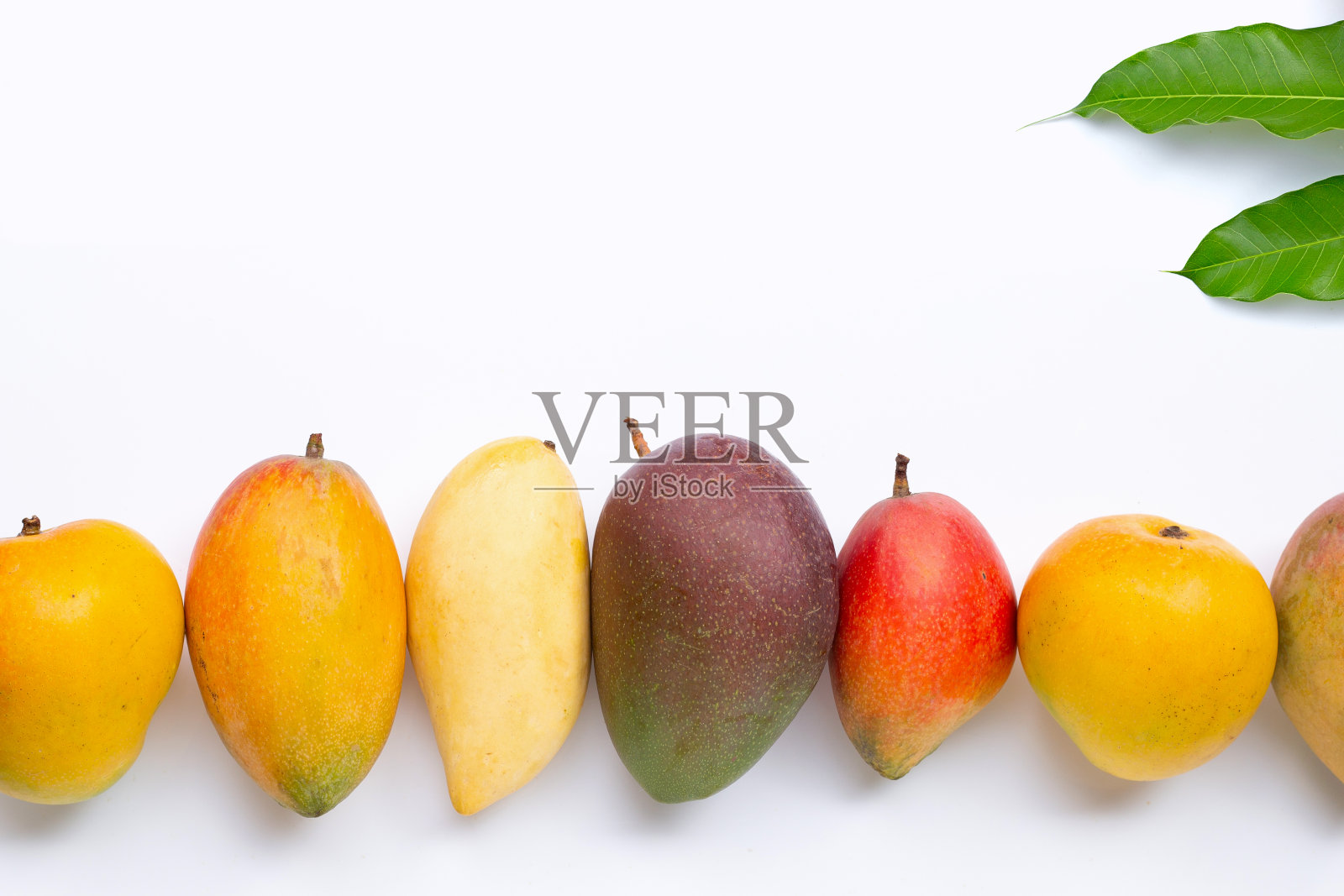 热带水果,白色背景上的芒果。照片摄影图片