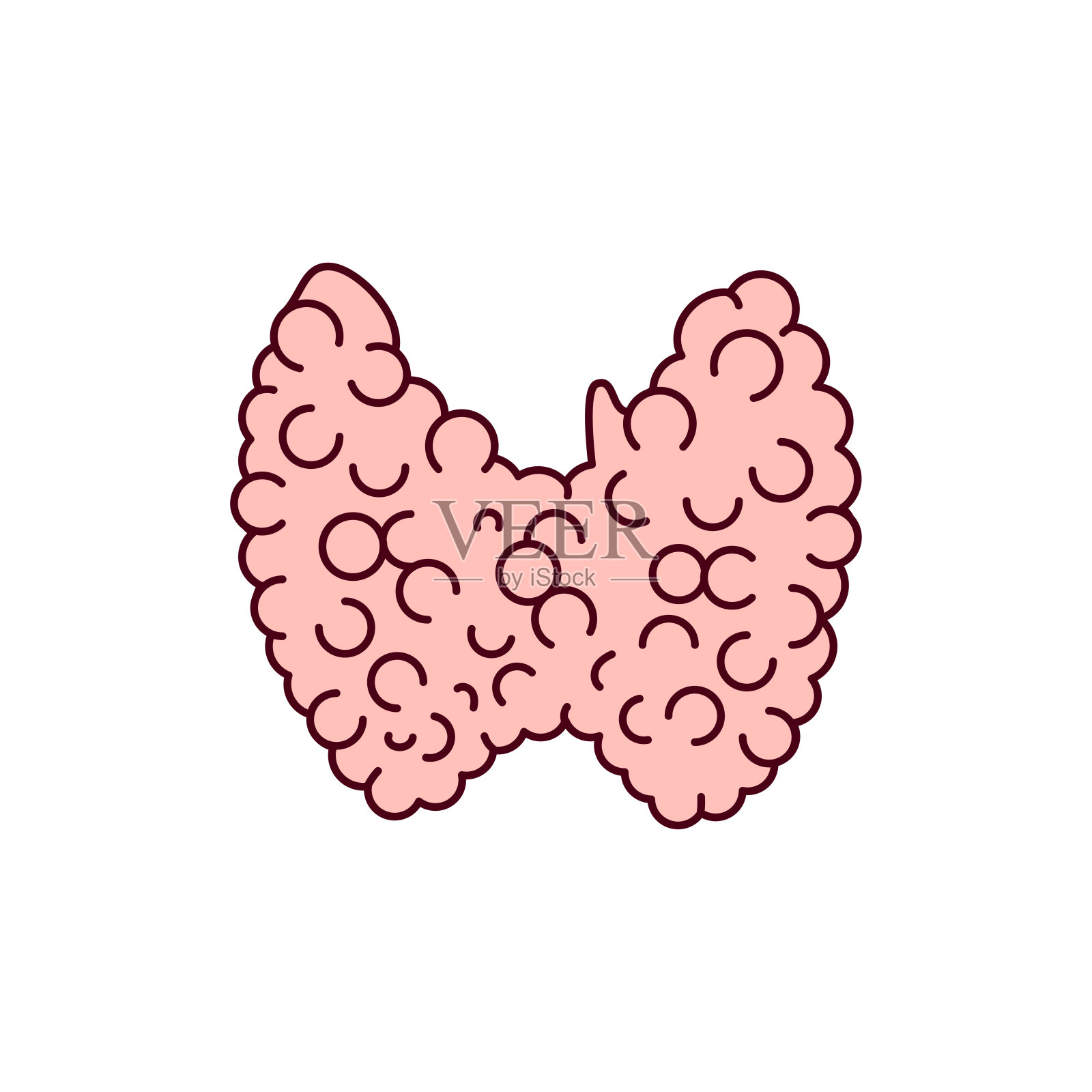 甲状腺彩色线图标。内分泌系统插画图片素材
