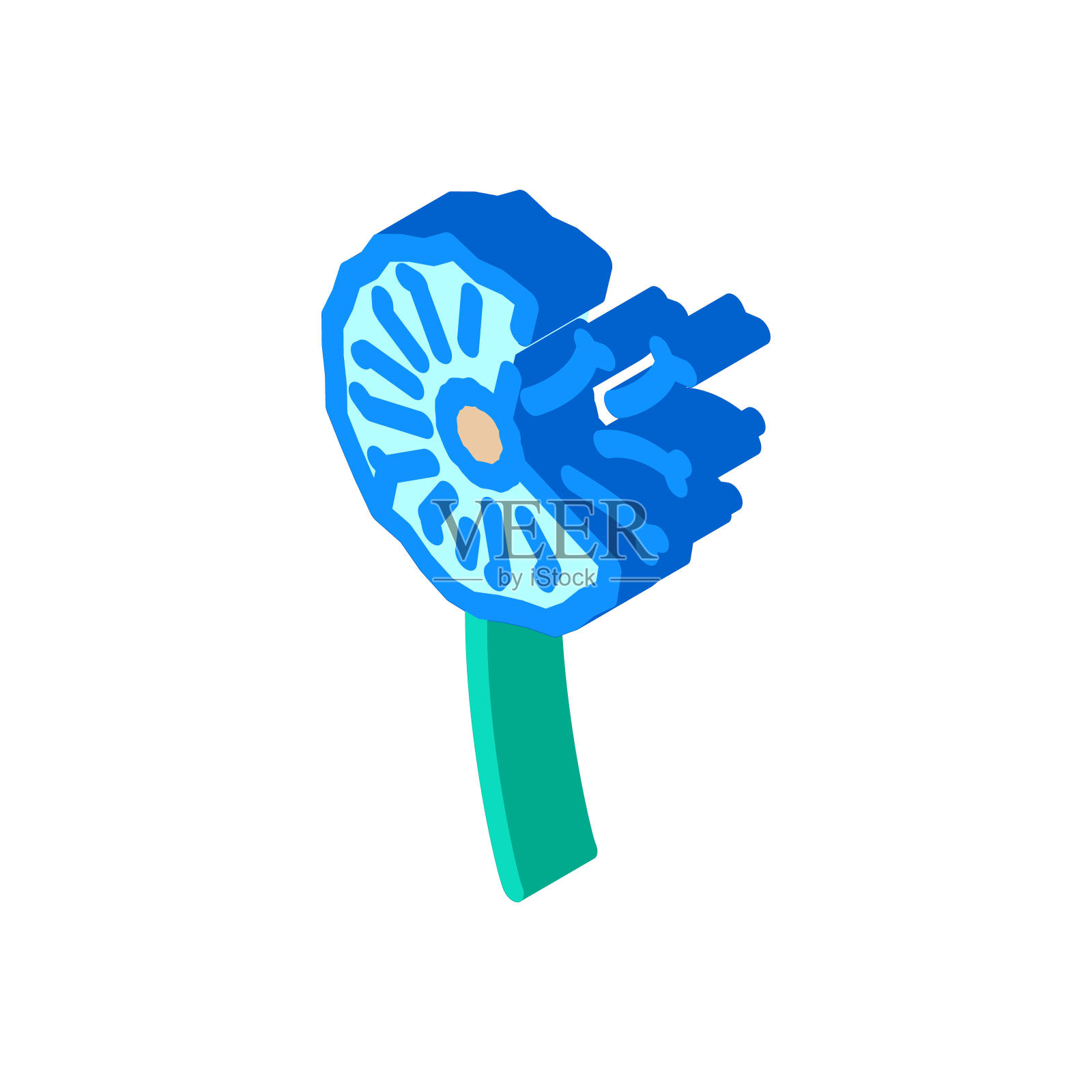 花艺术纹身复古等距图标矢量插图插画图片素材