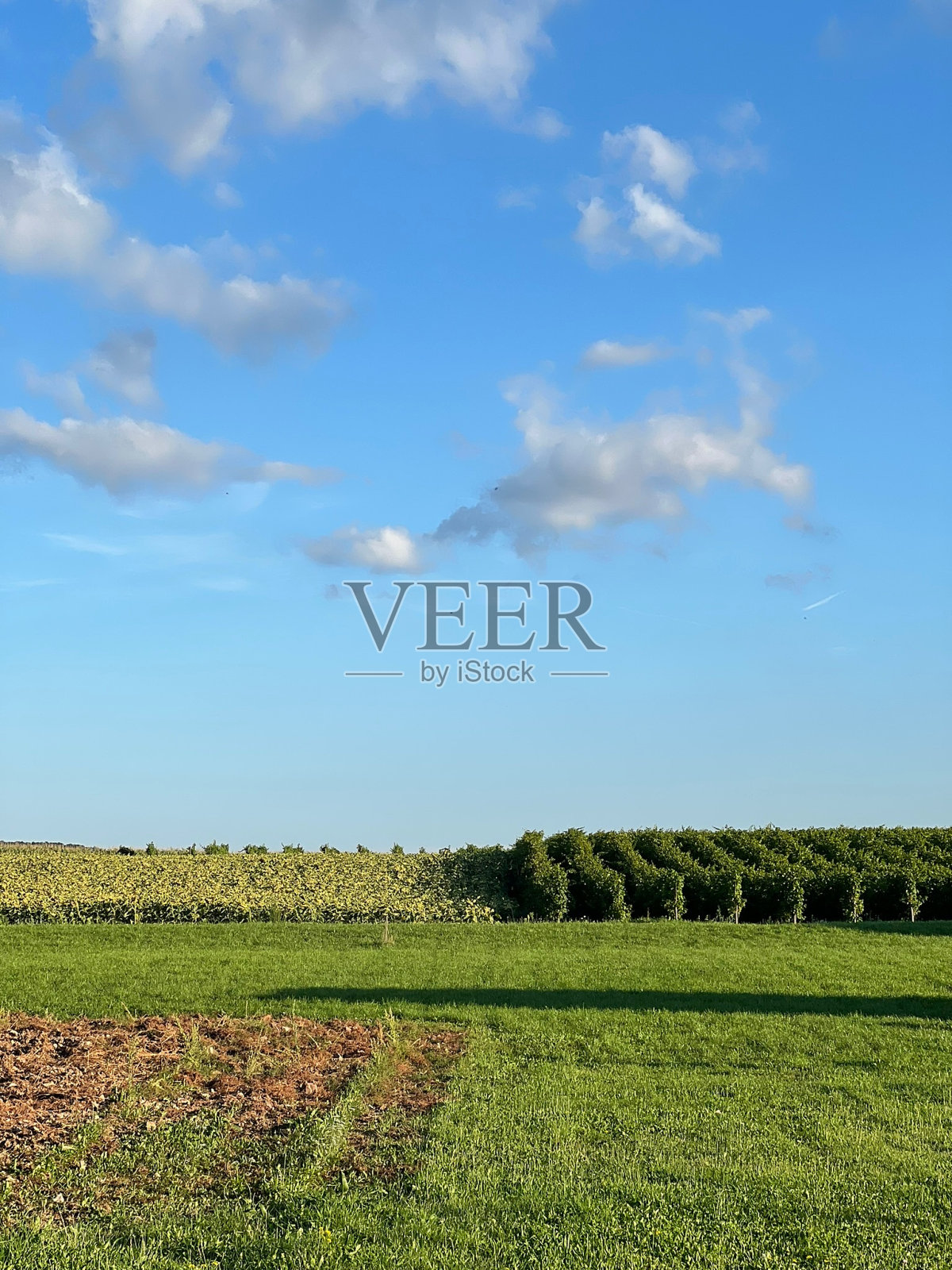 法国北部乡村的景色照片摄影图片