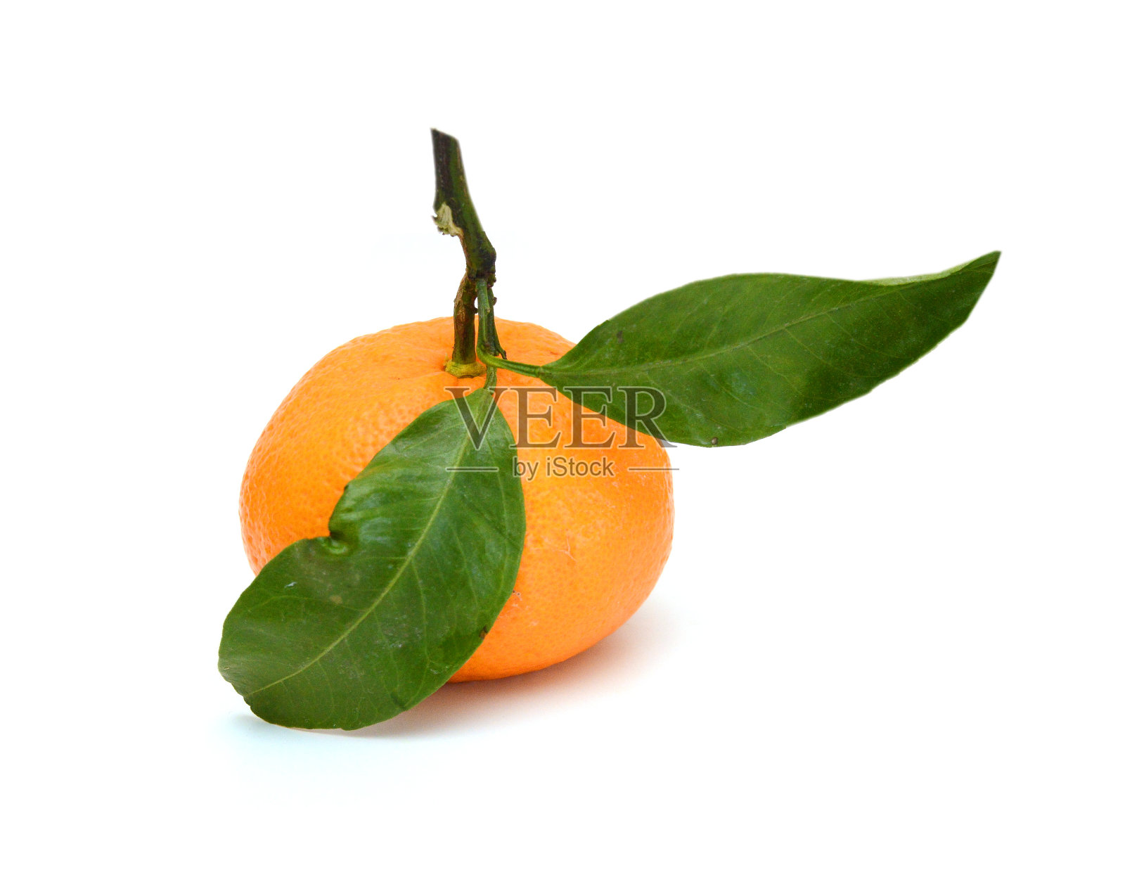 成熟的柑桔,孤立的柑桔,白色背景照片摄影图片