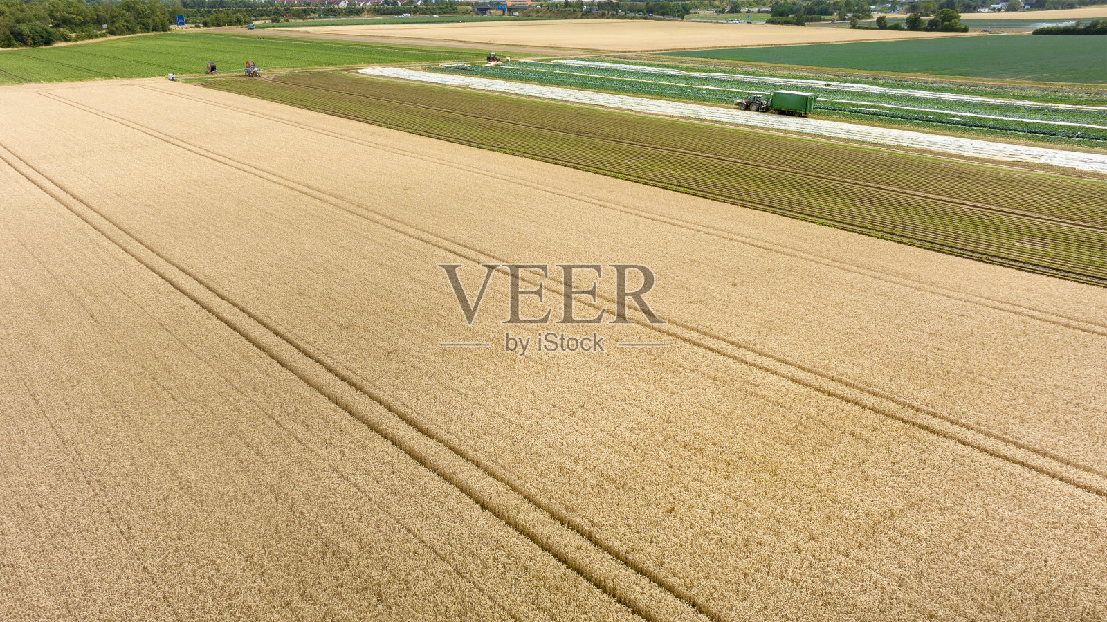 农田-从上面看照片摄影图片