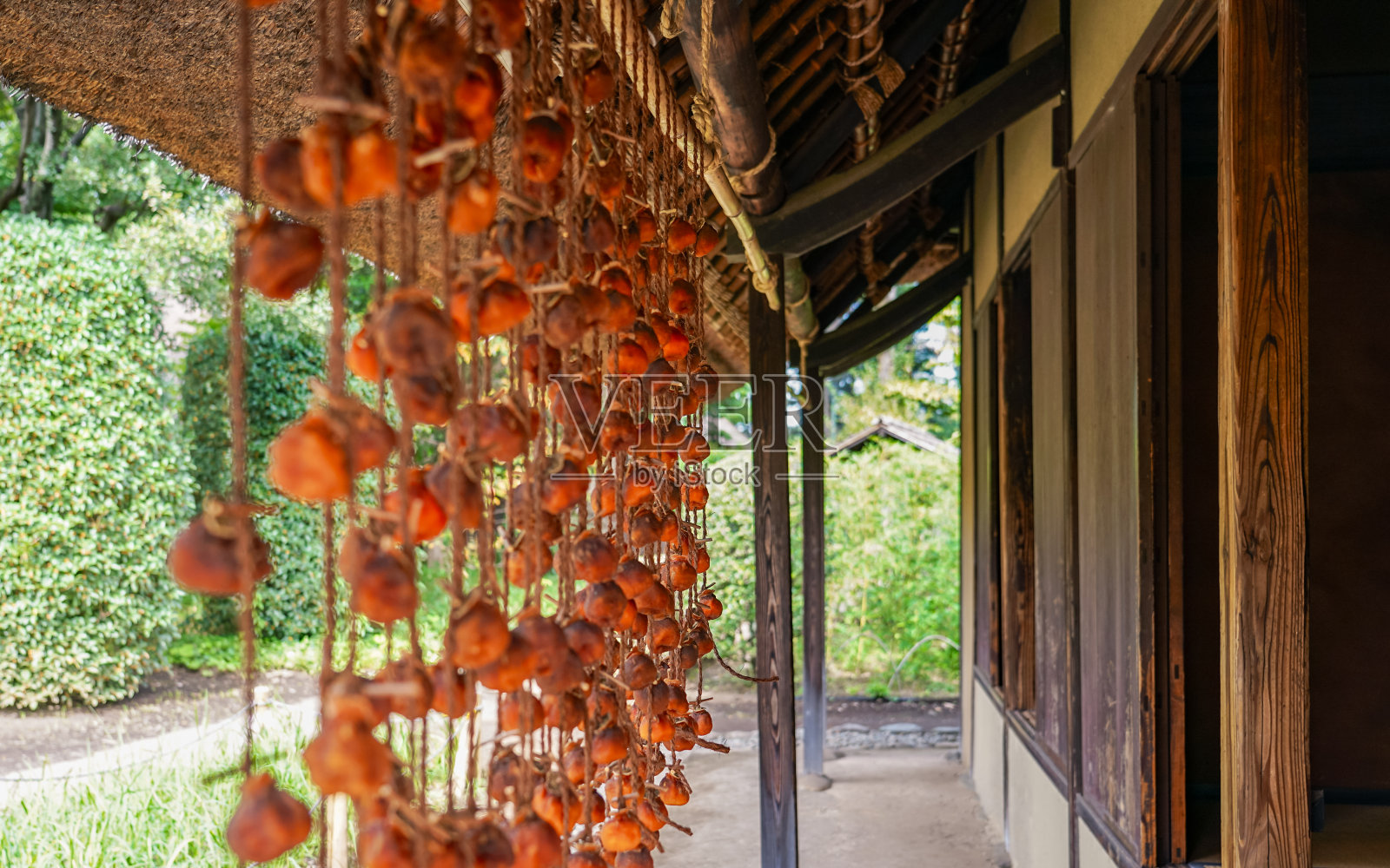 挂在农家屋檐下的秋干柿子(东京小金井市)照片摄影图片