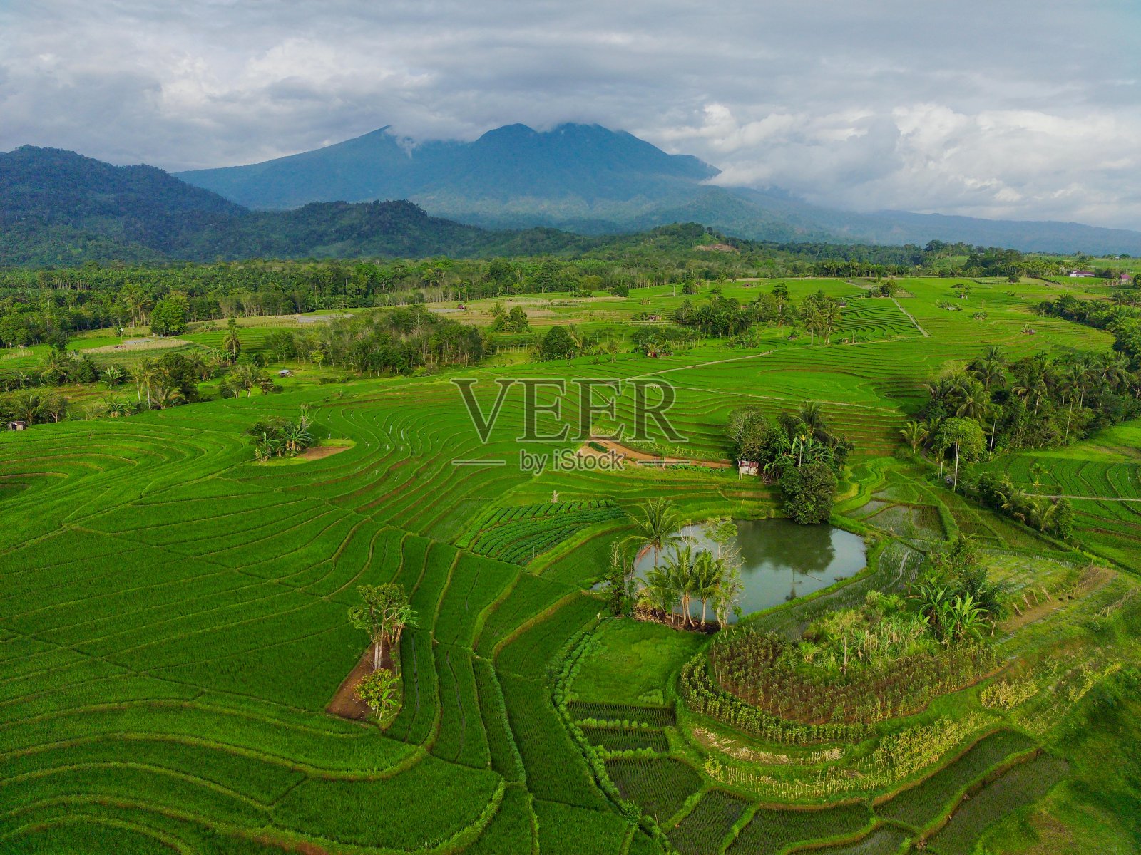 美丽的晨景印度尼西亚全景景观稻田与美丽的色彩和天空自然光照片摄影图片