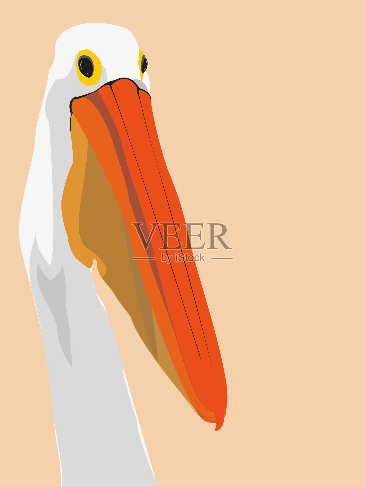 鹈鹕鸟头像插画图片素材