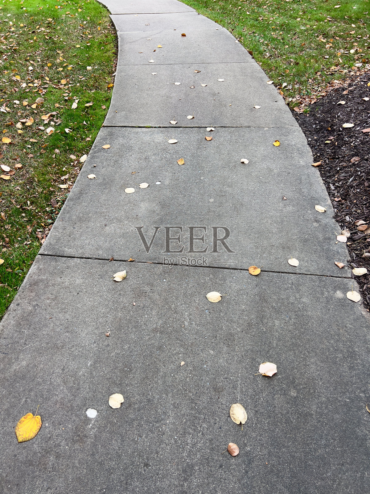 弯曲的人行道上照片摄影图片